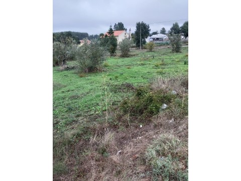 Grundstück auf São Pedro de Tomar, Tomar