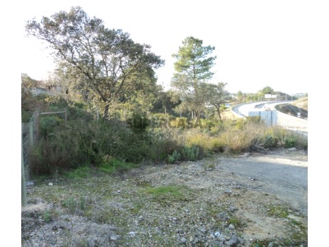 Terreno em Carregueiros, Tomar