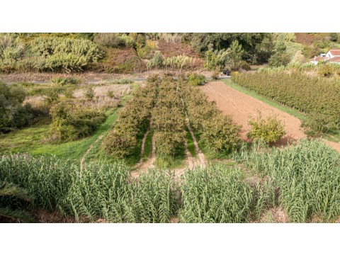 Terreno no Vimeiro