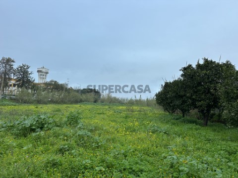 Terreno em Quelfes 2 (1)