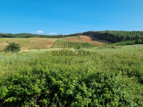 Terreno Bombarral (1)