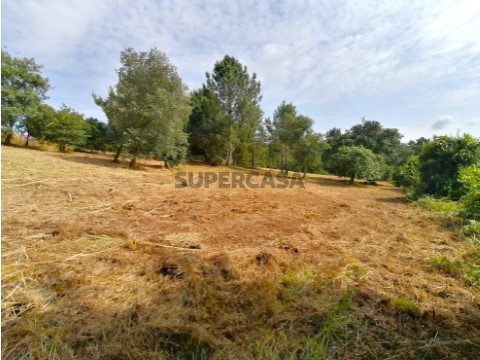 Terreno Obidos (4)