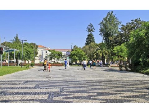 VISTA DE PROXIMIDADE