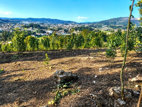 Terreno em Durrães e Tregosa, Barcelos