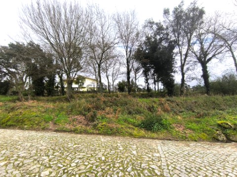 Terreno em Durrães e Tregosa, Barcelos