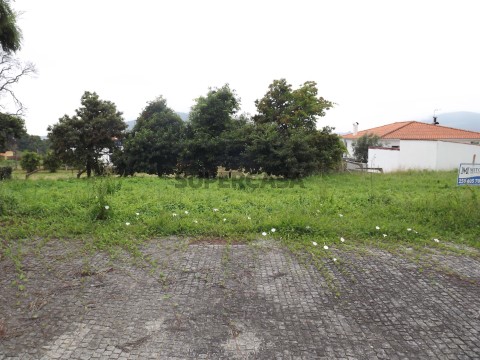 Lote em Seixas, Caminha