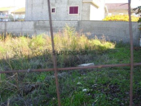 DSCI0978.JPG