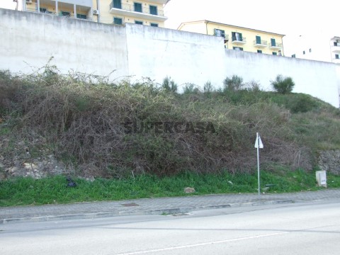 DSCF0176