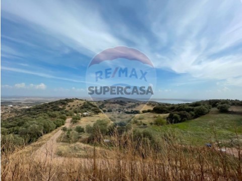 Terreno em Monsaraz, Reguengos de Monsaraz