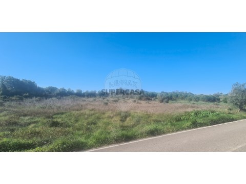 Terreno em Marmeleira e Assentiz, Rio Maior