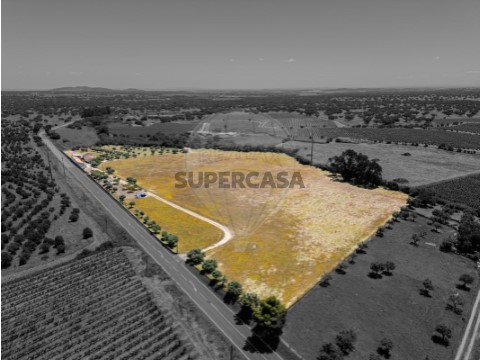 Quinta T3 em Reguengos de Monsaraz, Reguengos de Monsaraz