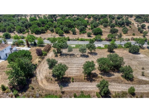 Terreno em Barrosa, Benavente
