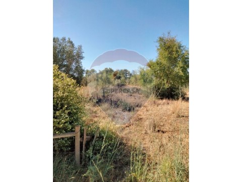 Terreno em São Bartolomeu de Messines, Silves