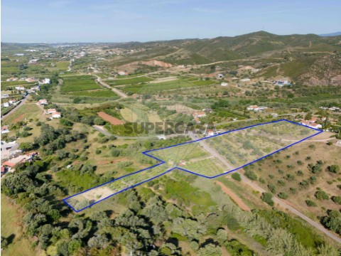 Terreno em Silves, Silves