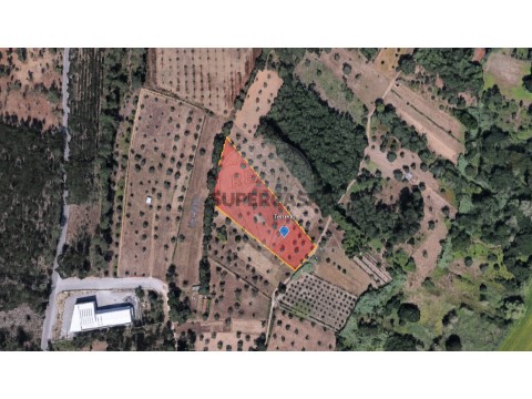 Terreno em Antuzede e Vil de Matos, Coimbra