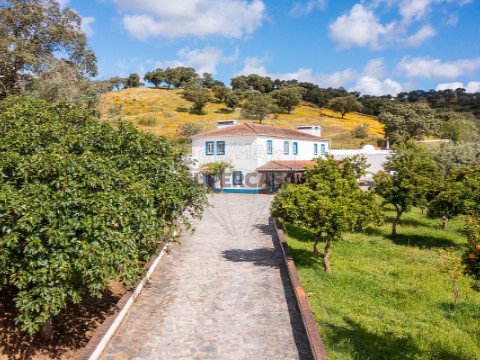 Quinta T0 em Ciladas, Vila Viçosa