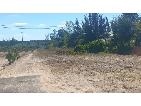 Terreno em Fazendas de Almeirim, Almeirim