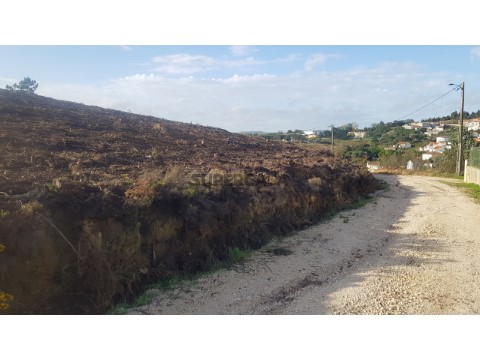 Terreno Rústico na Fonte Grada, Torres Vedras