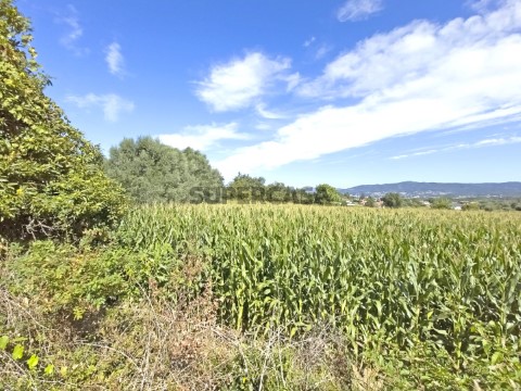 Vianaazul - Terreno c/1.900 m2 em Serreleis, Viana do Castelo
