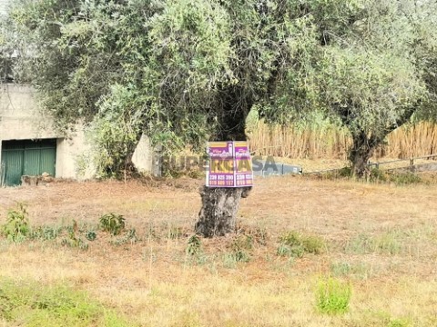 Terreno para moradia. S. M. Bispo-Coimbra