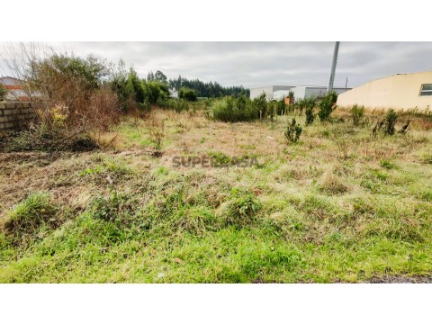 Terreno de construção-Moradias-Vagos-Aveiro