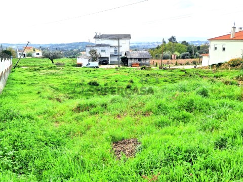 Lote Urbano