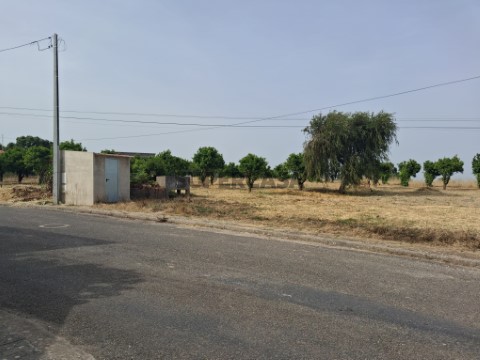 Lote para construção - Cartaxo