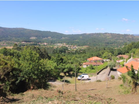 Vista
