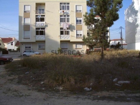 IMGP1562