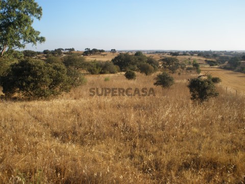 Parte do terreno