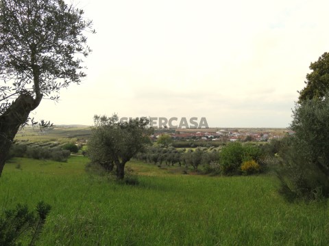 Terreno
