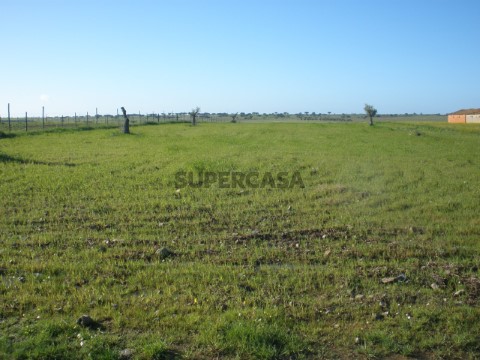Terreno