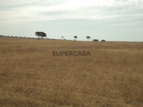 Parte do terreno