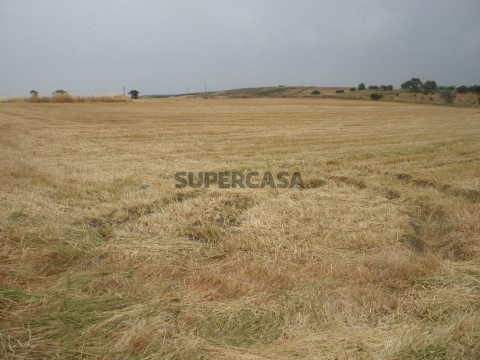 Vistas sobre o terreno