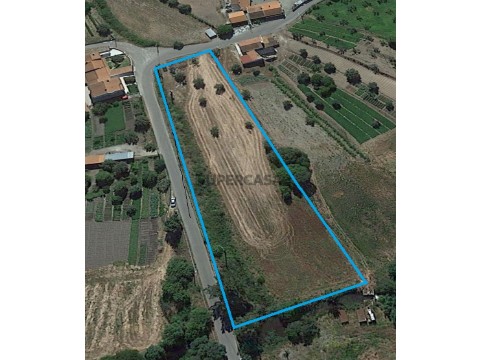 Terreno Vale da Madeira