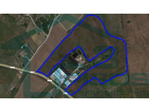 Terreno Rustico - Agrícola