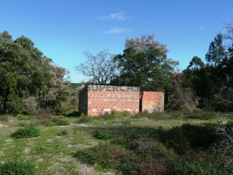 Terreno