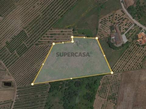 Terreno em Leiria - Bombarral