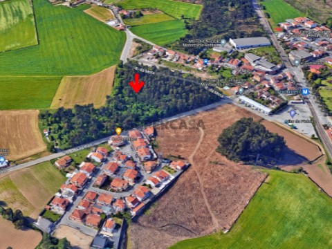 Terreno Aveleda