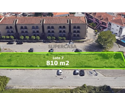 Lote 7