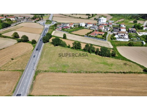 Terreno Maia