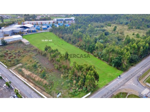 Terreno Maia