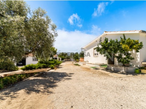 Mactown_imobiliária_Lisboa_quinta_terreno_moradia_Santarém_Alcanena_0002