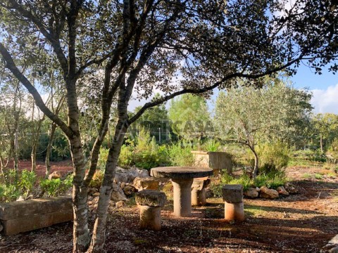 Mactown_Imobiliaria_Lisboa_Santarem_Torres_Novas_Entroncamento_Terreno__Venda_0005