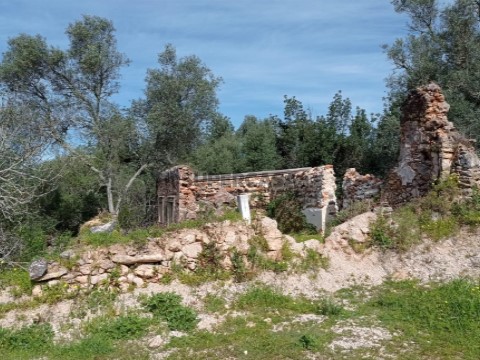 Terreno com Ruina