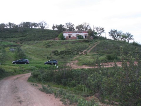 Quinta