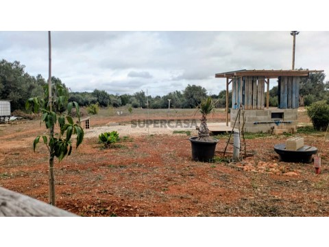 Terreno