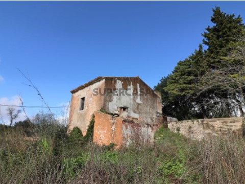Ruina