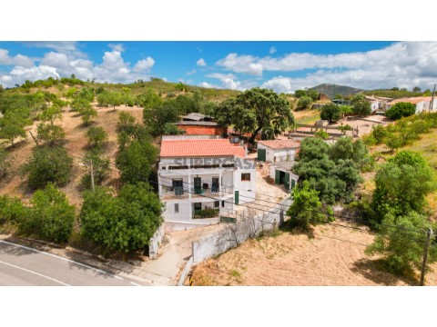 DJI_0252