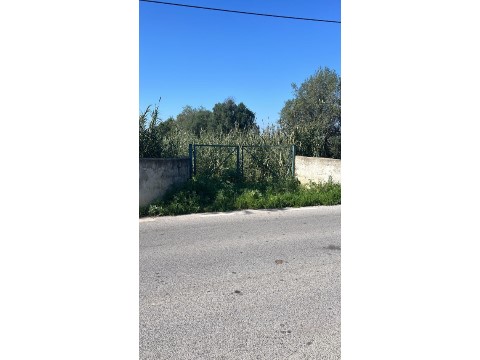 Terreno em Faro
